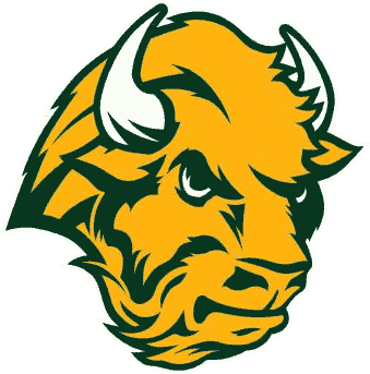 North Dakota State Bison 2005-2011 Alternate Logo diy fabric transfer